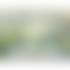 Landscape seen from the sky (preview)