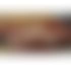 Nude on a red bed (preview)