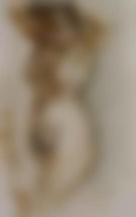 Nude (preview)