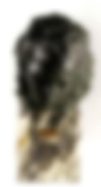 Beethoven (preview)