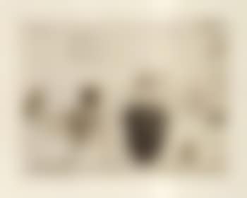 Insectes singuliers (preview)