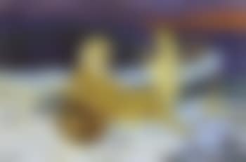 Neptunus en Galateia (preview)