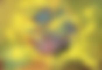 Sonne (preview)