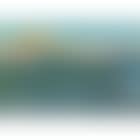Citronniers a Marjorque (preview)