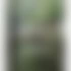 Barque sur la riviere (preview)