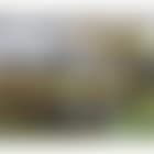 Ferme en bordure de la Foret de Lyons Eure (preview)