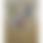 Nature morte aux poivrons (preview)