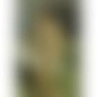 Nu assis (preview)