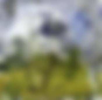 Paysage (preview)