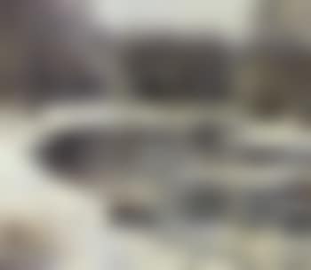Paysage de neige (preview)