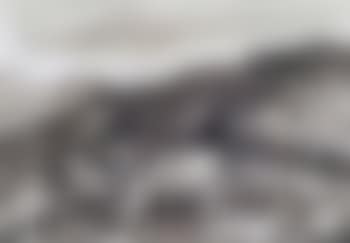 Mynydd Bodafon, no 3 (preview)