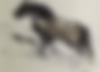 Welsh mountain pony (preview)