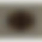 Forme symetrique (preview)