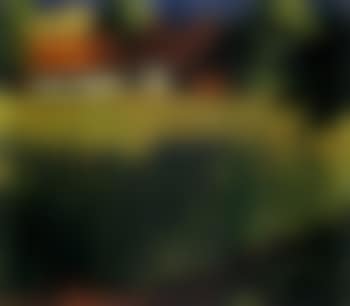 Cornfield (preview)