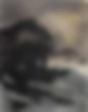 Steamer (preview)