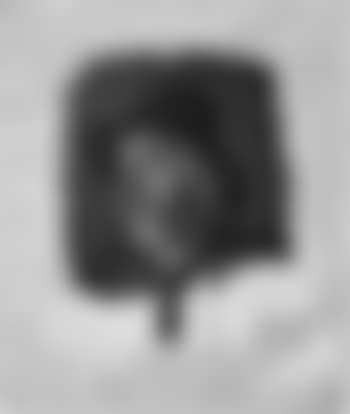 Head of an old Tyrolean peasant (preview)