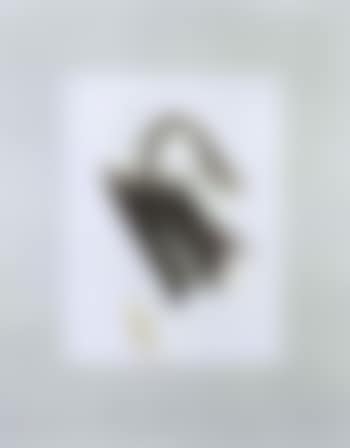 Composition (preview)
