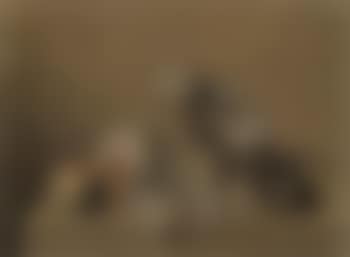 Still life of fruit (preview)