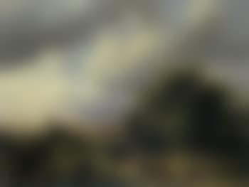 River landscape with church ruins and horse cart (preview)