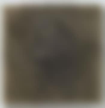 Structure field (preview)
