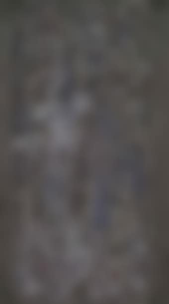 Untitled (preview)