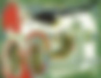 Peinture sur Ancien Rainer II (preview)