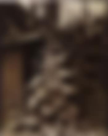 Roses tremieres (preview)
