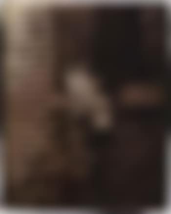Rose tremiere (preview)