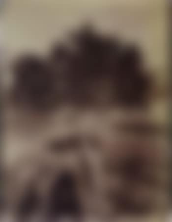 Oranger (preview)