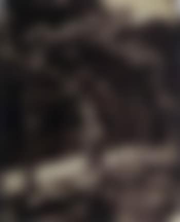 Roseraie a Bagatelle (preview)