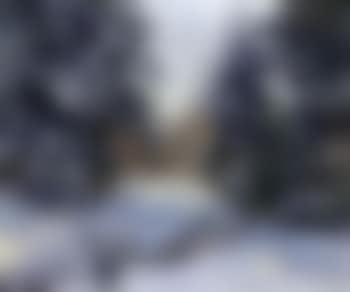 Winter wood (preview)