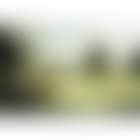 Village cricket match (preview)
