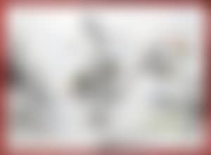 Those magnificent cats (preview)
