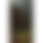 Border sentry (preview)