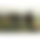 Capture of a Caucasian chief (preview)