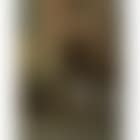 Ane Egyptien (preview)