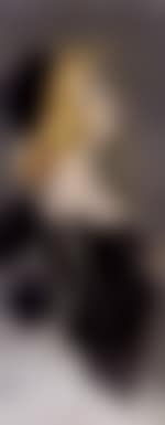 Chimney sweep (preview)