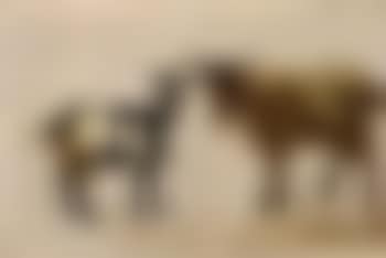Study of two goats (preview)