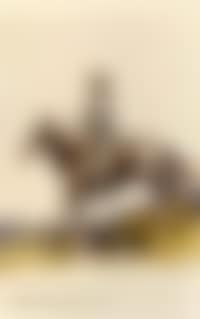Cowboy on horseback (preview)