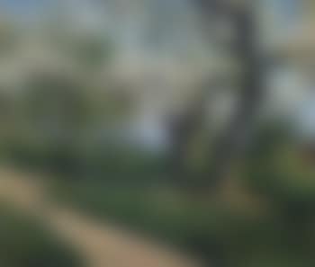 Apple tree in blossom (preview)