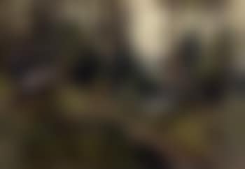 Woodland interior (preview)
