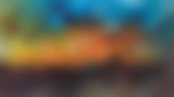 Earth, air, fire, water (preview)