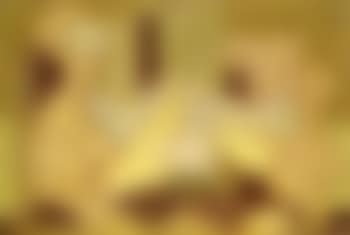 Nature morte (preview)