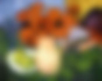 Bouquet de pavots (preview)