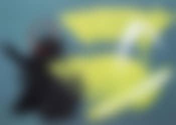 Composition (preview)