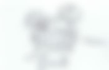 Sans titre (preview)