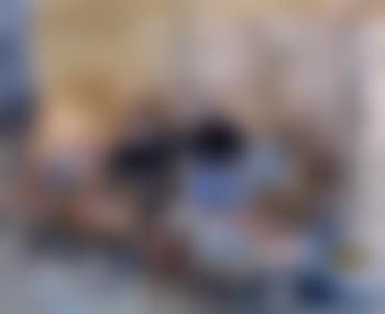 Etal sur le port (preview)