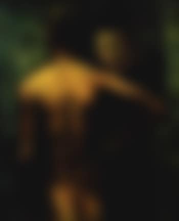 Deux nus a la fleur (preview)