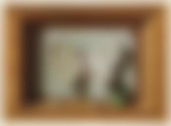 Papillon (preview)
