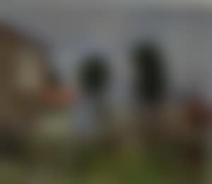 Vue d'une maison avec jardin (preview)